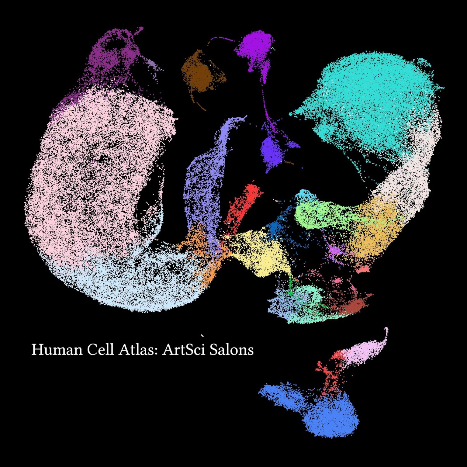 One Cell At A Time – Human Cell Atlas